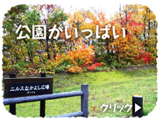 公園がいっぱい