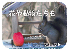 花や動物たちも