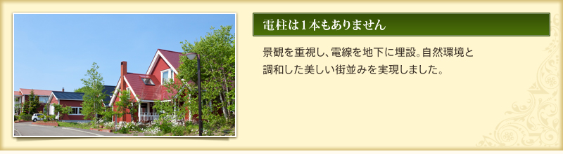 電柱は1本もありません　景観を重視し、電線を地下に埋設。自然環境と調和した美しい街並みを実現しました。