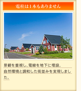 電柱は１本もありません　景観を重視し、電線を地下に埋設。自然環境と調和した街並みを実現しました。
