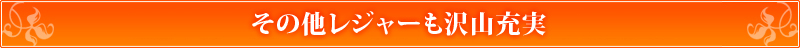 その他レジャーも沢山充実