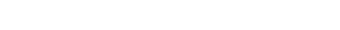 レポート